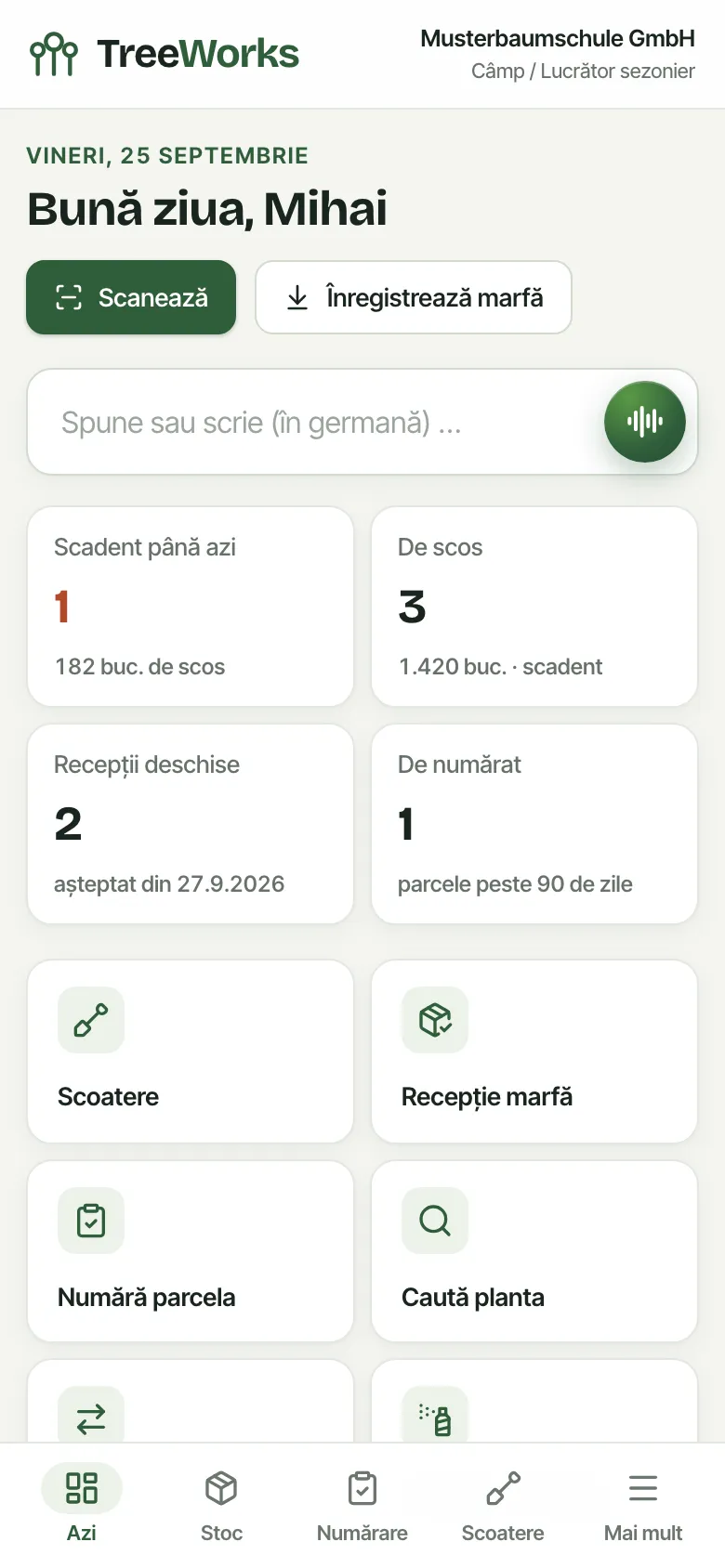 TreeWorks auf dem Handy in rumänischer Sprache: Startseite einer Saisonkraft mit Aufgaben für den Tag